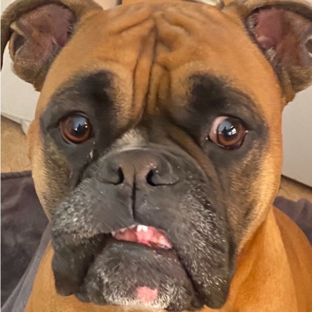 Meet your Posher, David